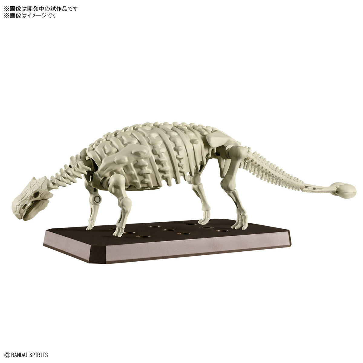 Imaginary Skeleton PLANNOSAURUS Ankylosaurus - Trinity Hobby