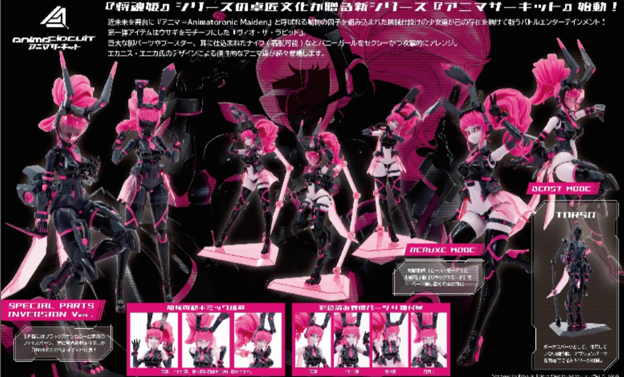 1/12 scale assembly plastic model　Animacircuit Vio the Rabbit - Trinity Hobby