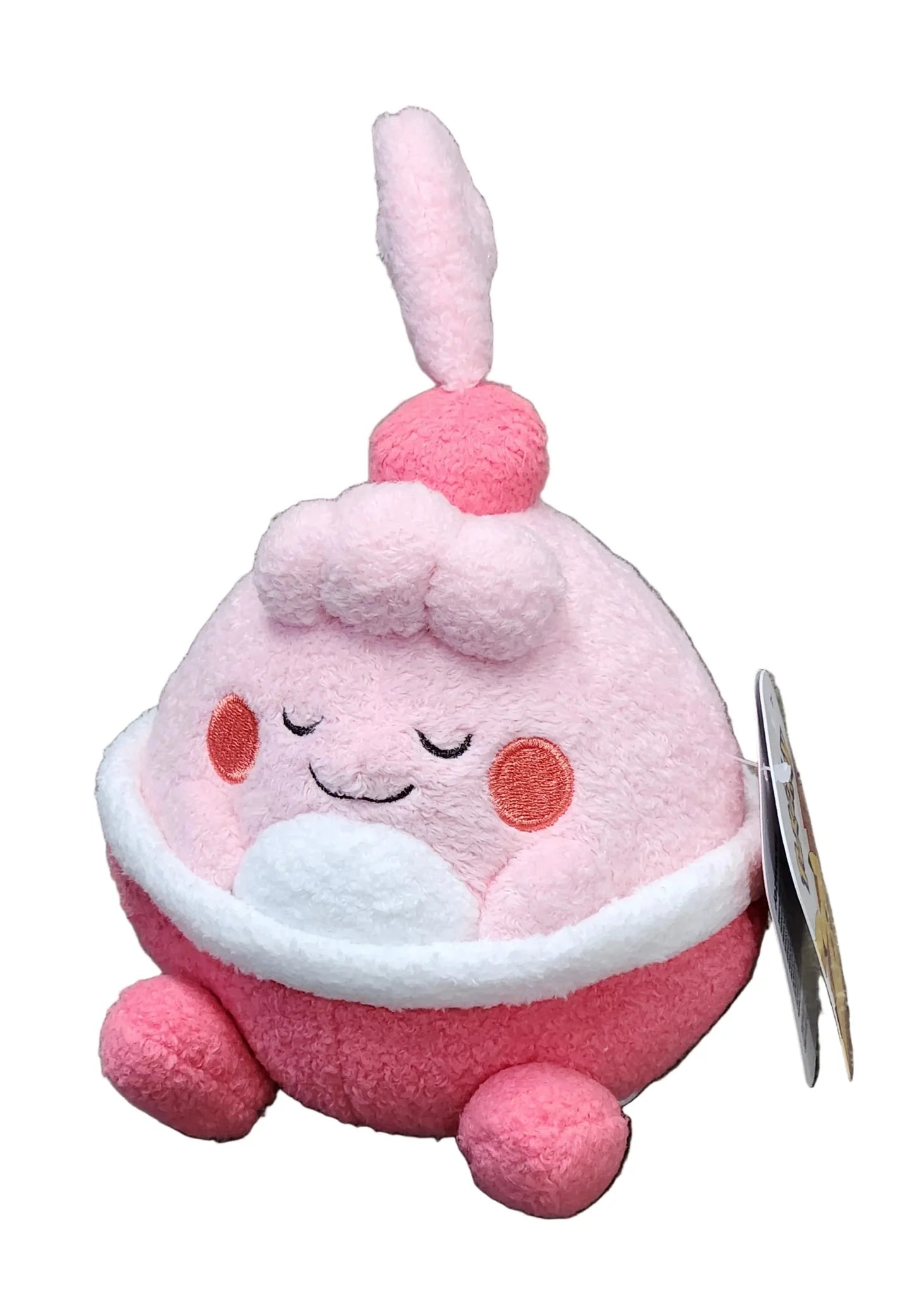 POKEMON 5" SLEEPING PLUSH (1 Random PC)