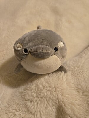 Soft and fluffy! Korokoro Suizokukan Shachi (Dolphin) Plush - Trinity Hobby