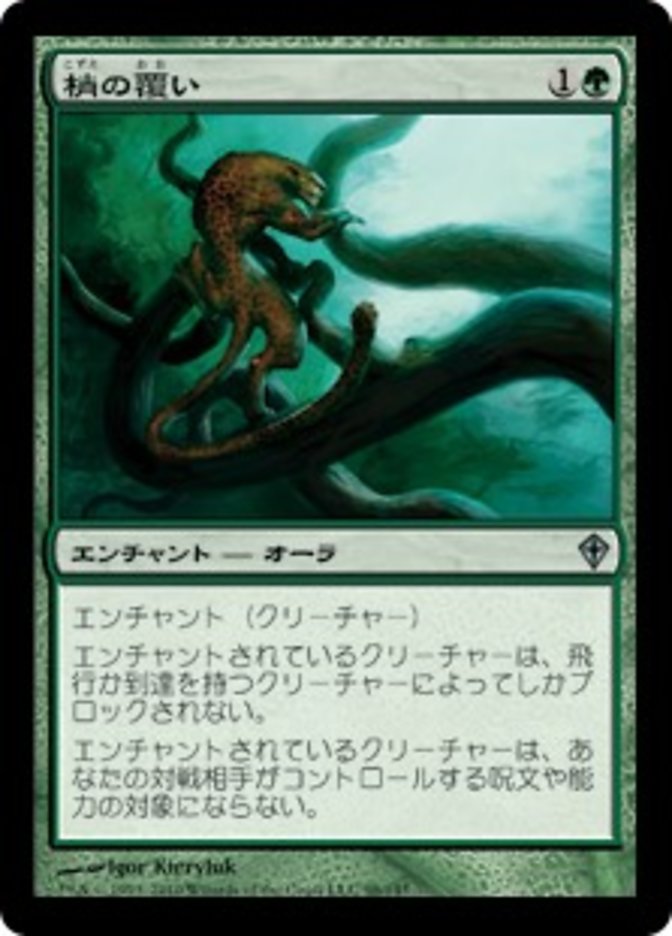 (JP) Canopy Cover [Worldwake] (Foreign Language) - Trinity Hobby