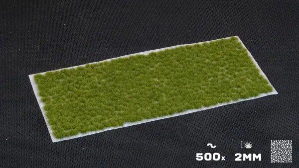 GamersGrass - Tiny Dry Green (2mm) - Tiny - Trinity Hobby