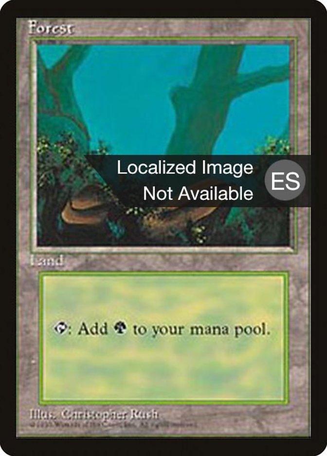 Forest (A) [Fourth Edition (Foreign Black Border)] - Trinity Hobby