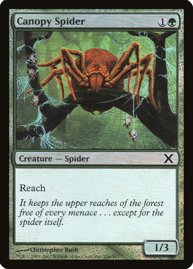 Canopy Spider (Premium Foil) [Tenth Edition] - Trinity Hobby