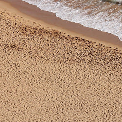 AK Interactive Terrains Beach Sand - 250ml (Acrylic) - Trinity Hobby