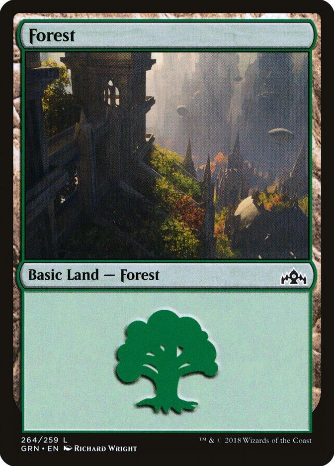 Forest (264) [Guilds of Ravnica] - Trinity Hobby