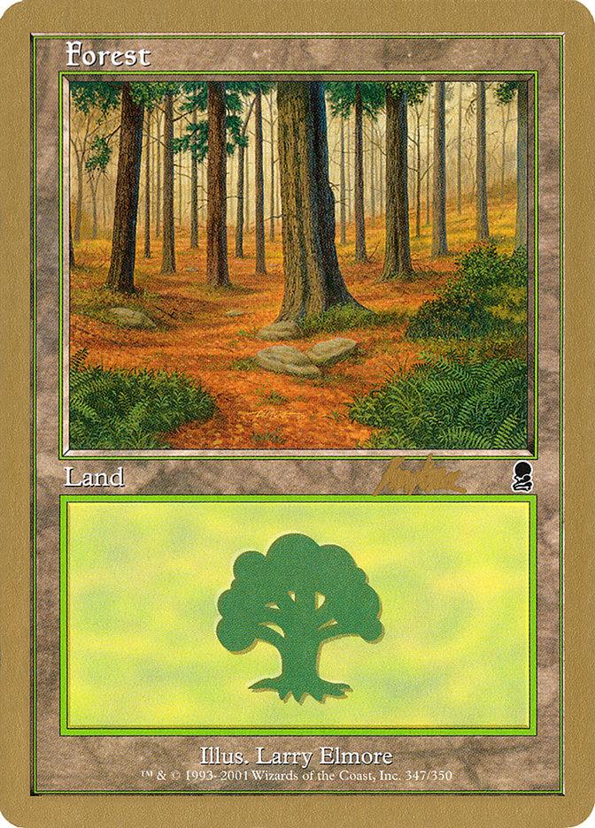 Forest (bk347) (Brian Kibler) [World Championship Decks 2002] - Trinity Hobby