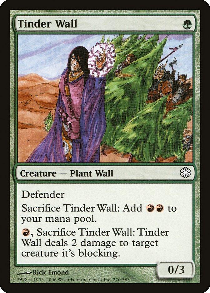 Tinder Wall [Coldsnap Theme Decks] - Trinity Hobby