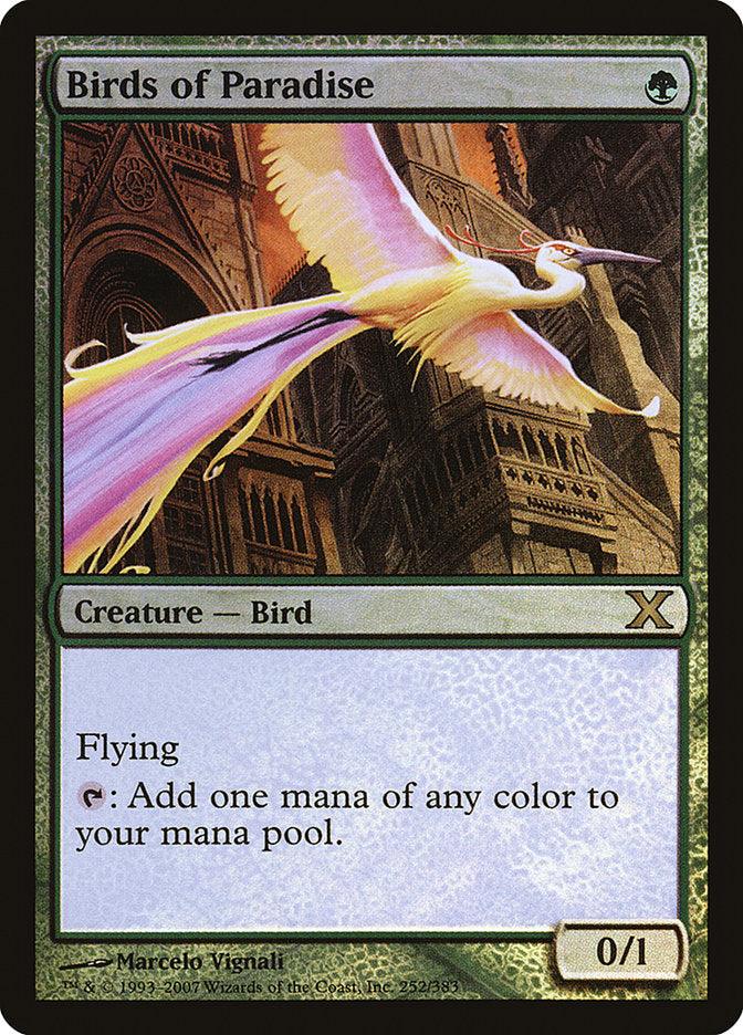 Birds of Paradise (Premium Foil) [Tenth Edition] - Trinity Hobby