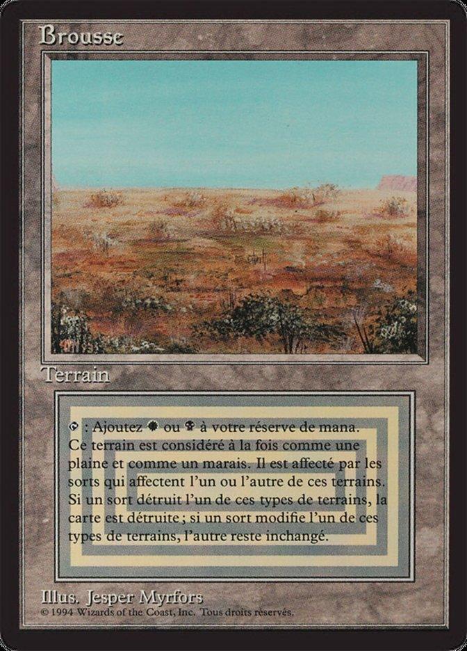 Scrubland [Foreign Black Border] - Trinity Hobby