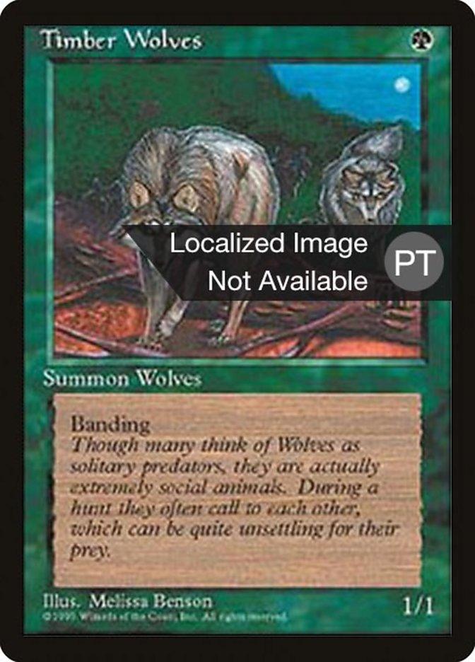 Timber Wolves [Fourth Edition (Foreign Black Border)] - Trinity Hobby
