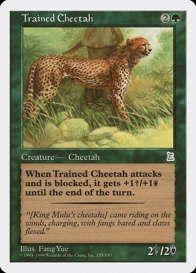 Trained Cheetah [Portal Three Kingdoms] - Trinity Hobby