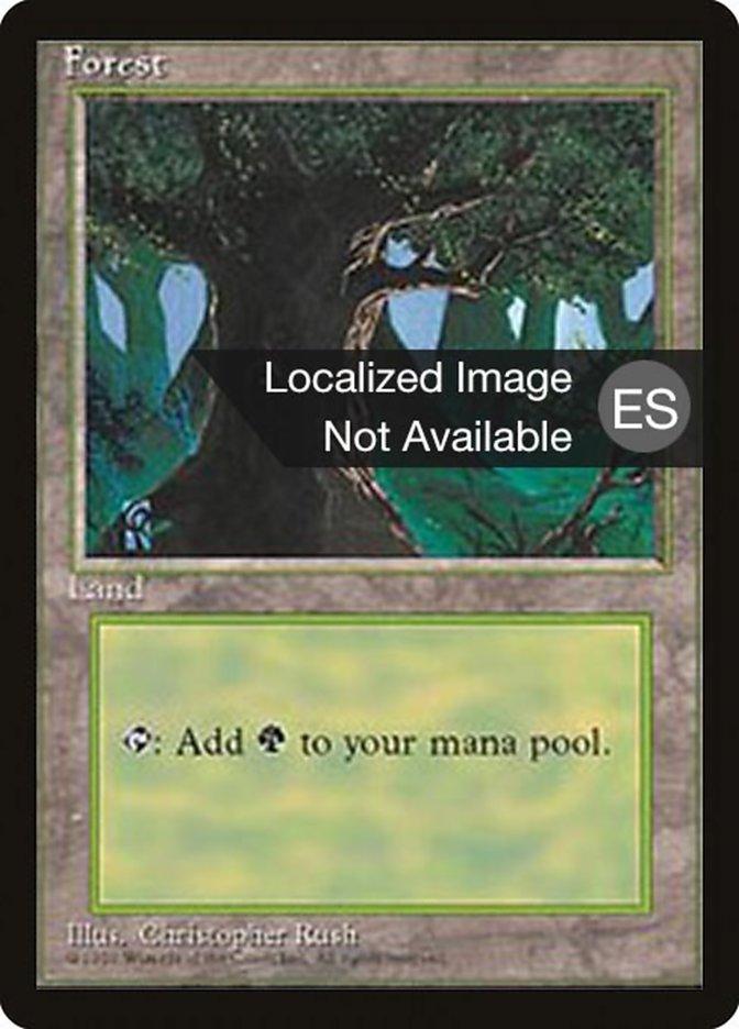 Forest (C) [Fourth Edition (Foreign Black Border)] - Trinity Hobby