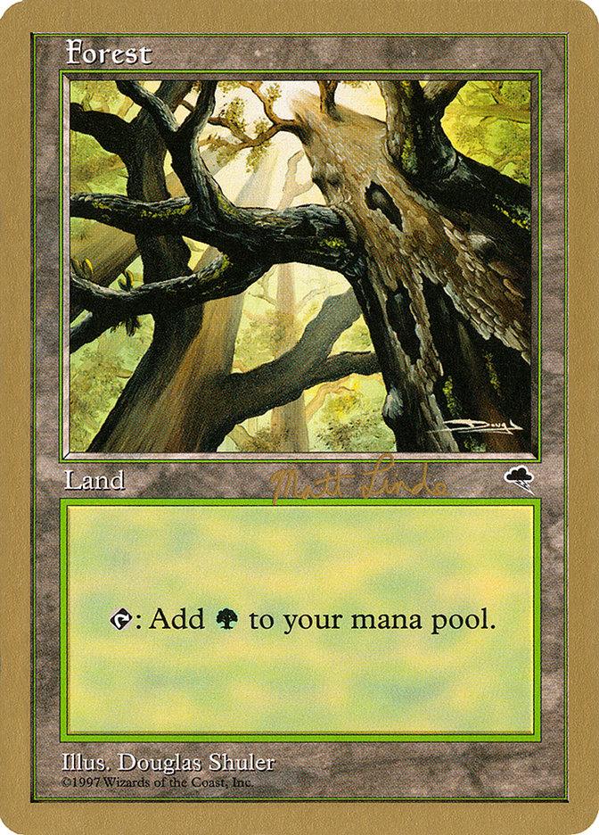 Forest (ml347a) (Matt Linde) [World Championship Decks 1999] - Trinity Hobby