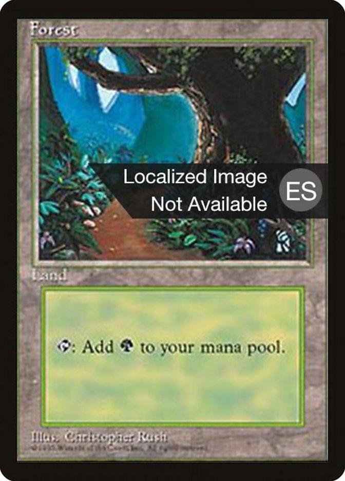 Forest (B) [Fourth Edition (Foreign Black Border)] - Trinity Hobby