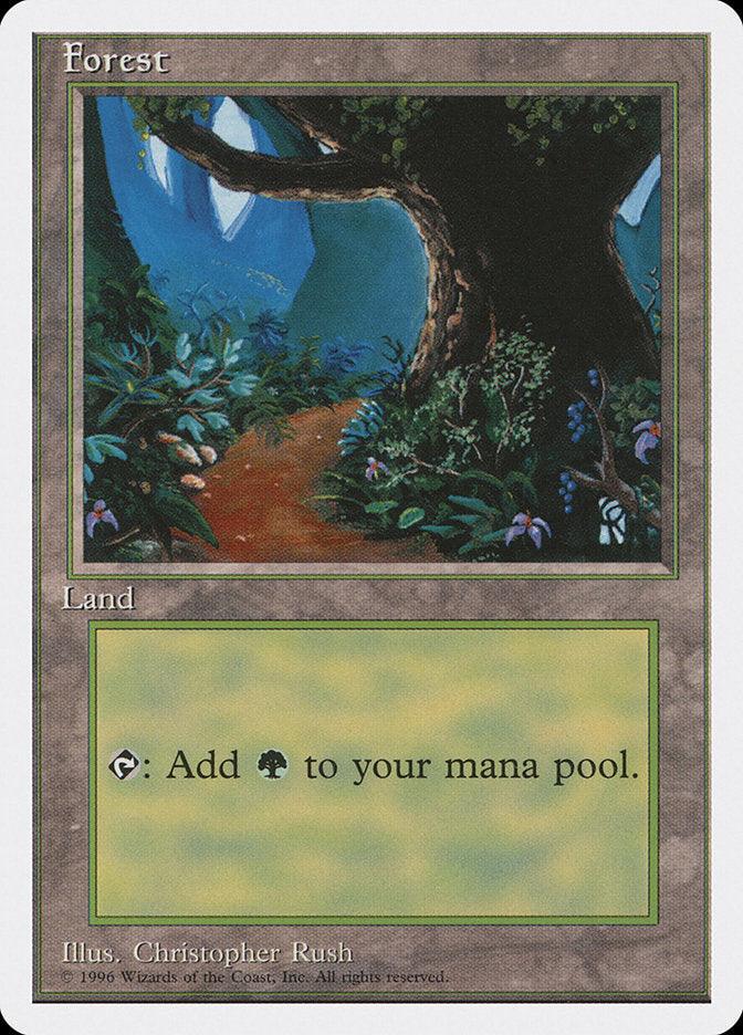 Forest (Dirt Path) [Introductory Two-Player Set] - Trinity Hobby