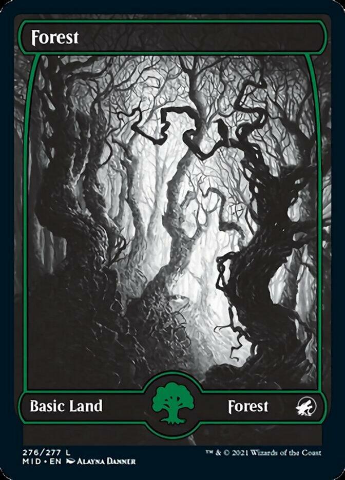 Forest (276) [Innistrad: Midnight Hunt] - Trinity Hobby