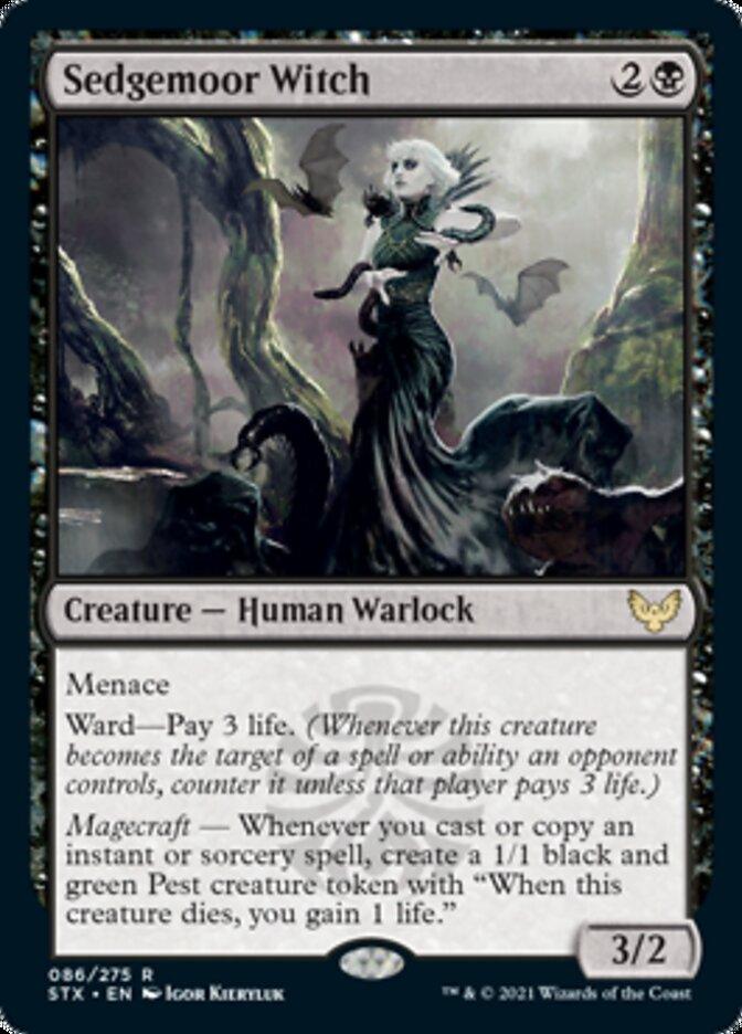 Sedgemoor Witch [Strixhaven: School of Mages] - Trinity Hobby