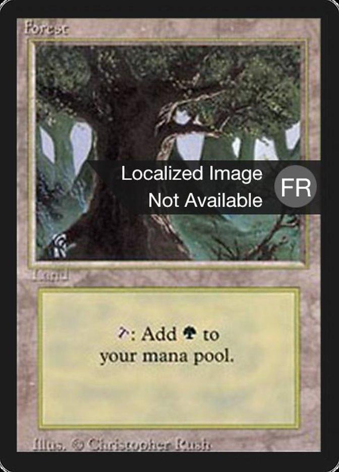 Forest (A) [Foreign Black Border] - Trinity Hobby