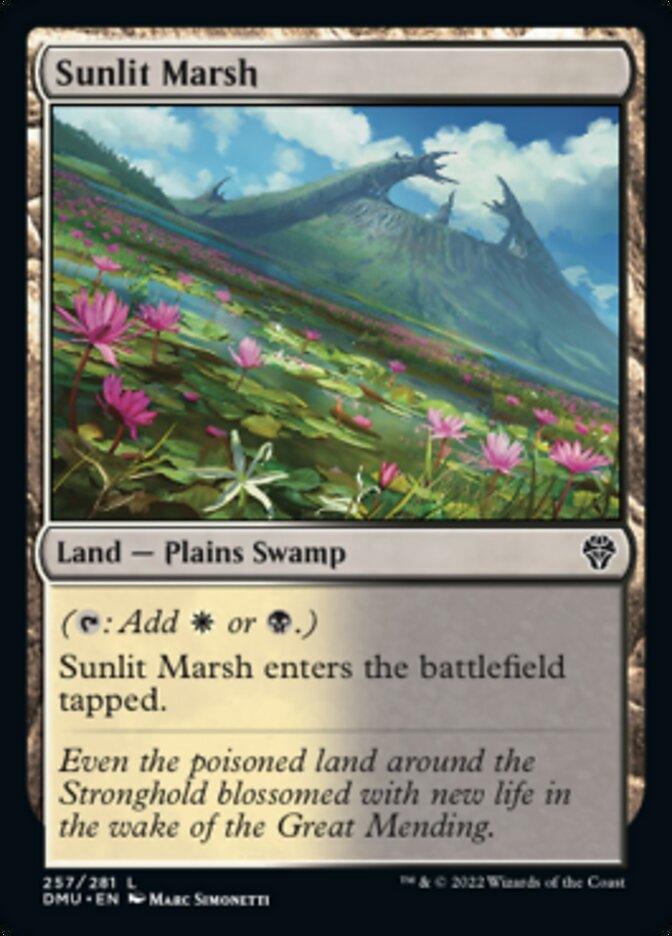 Sunlit Marsh [Dominaria United] - Trinity Hobby