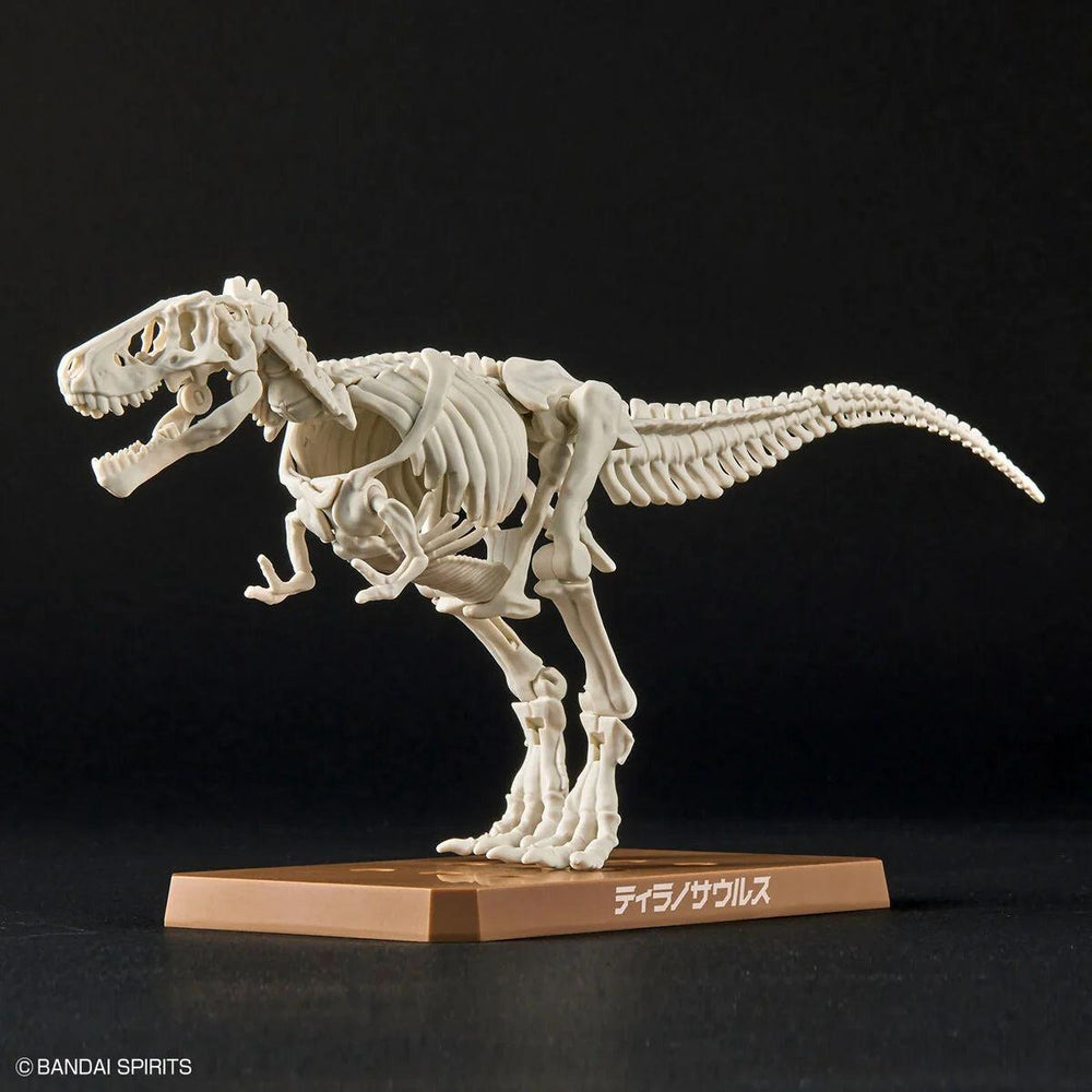 New Dinosaur Plastic Model Kit Brand Tyrannosaurus - Trinity Hobby