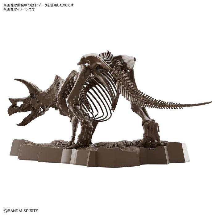 1/32 Imaginary Skeleton Triceratops - Trinity Hobby