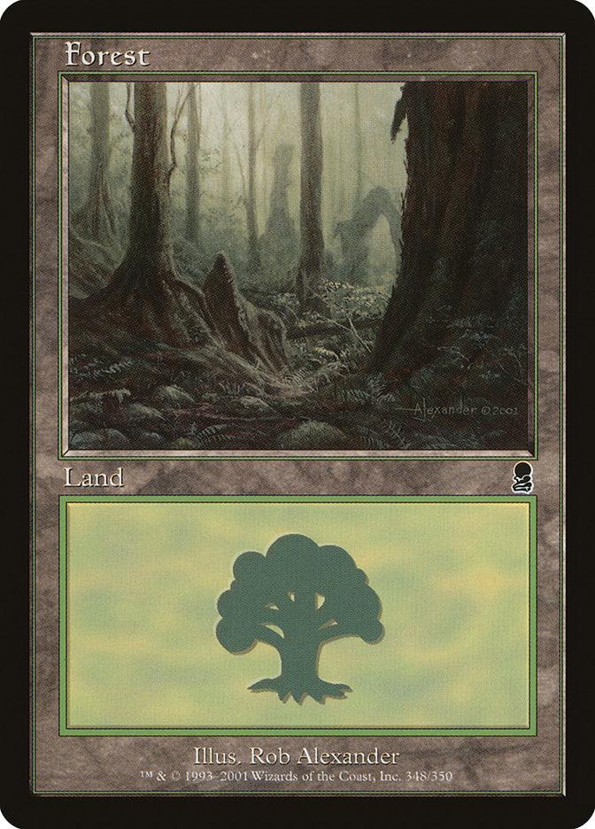 Forest (348) [Odyssey] - Trinity Hobby
