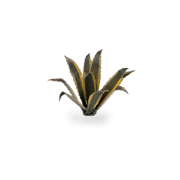 GamersGrass - Agave - Trinity Hobby