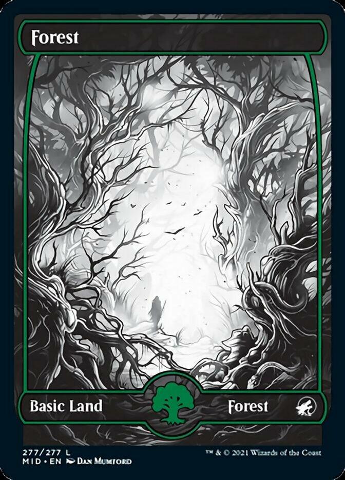 Forest (277) [Innistrad: Midnight Hunt] - Trinity Hobby