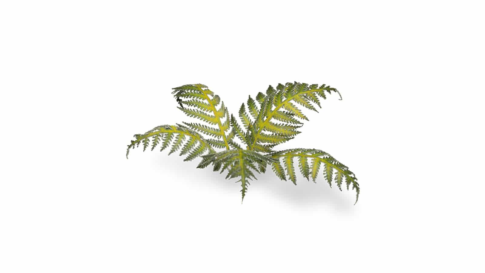 GamersGrass - Laser Plants - Bracken - Trinity Hobby