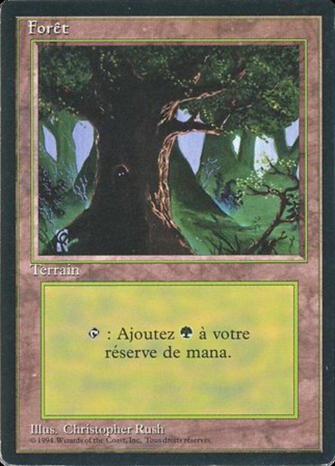 Forest (C) [Foreign Black Border] - Trinity Hobby