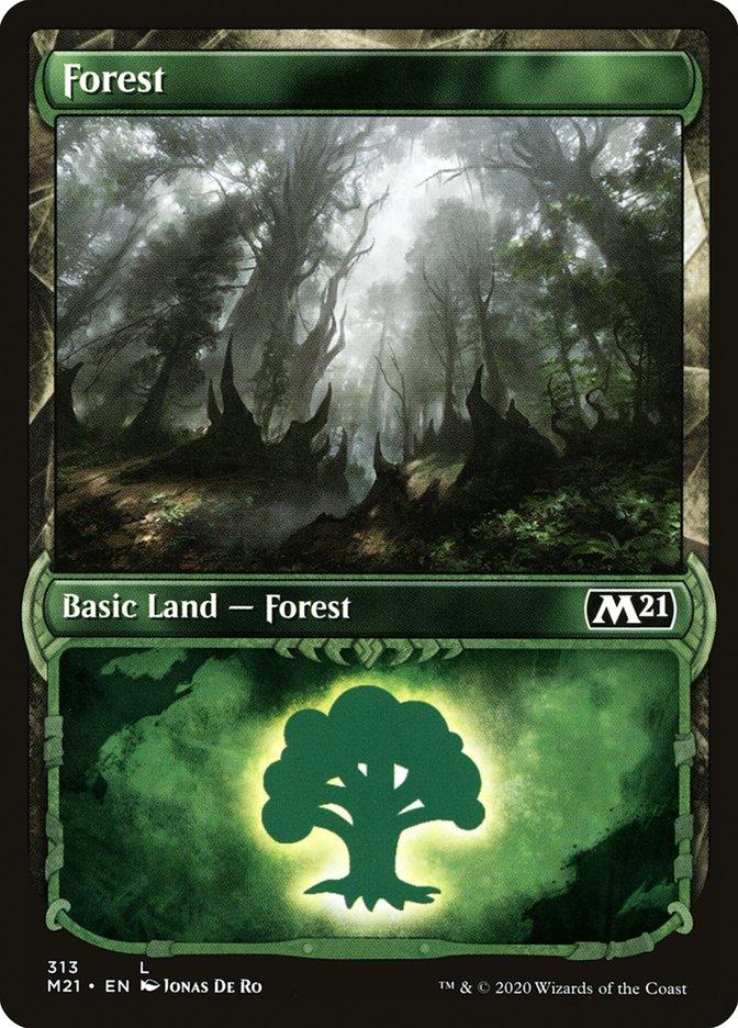 Forest (313) (Showcase) [Core Set 2021] - Trinity Hobby