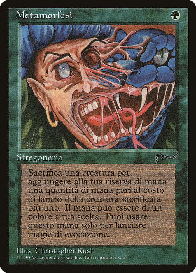 Metamorphosis (Italian) - "Metamorfosi" [Rinascimento] - Trinity Hobby