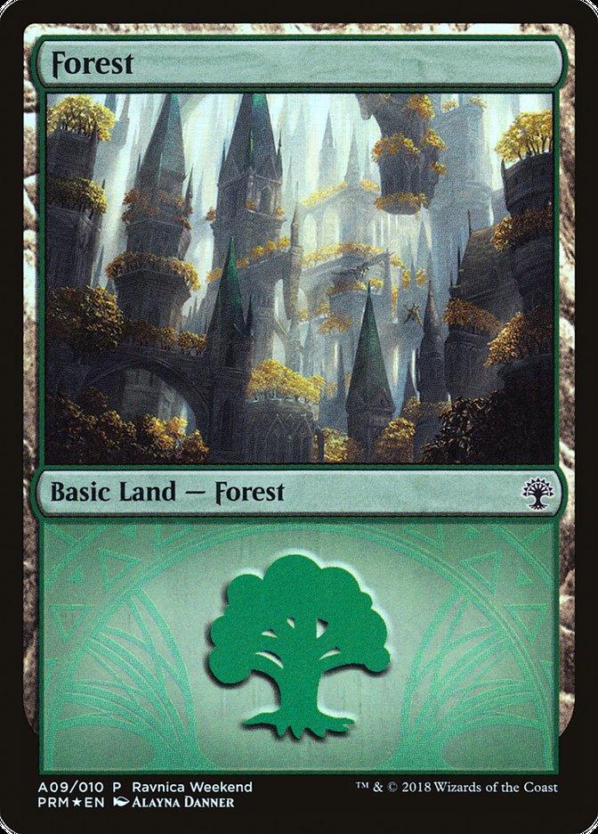 Forest (A09) [Ravnica Allegiance Ravnica Weekend] - Trinity Hobby