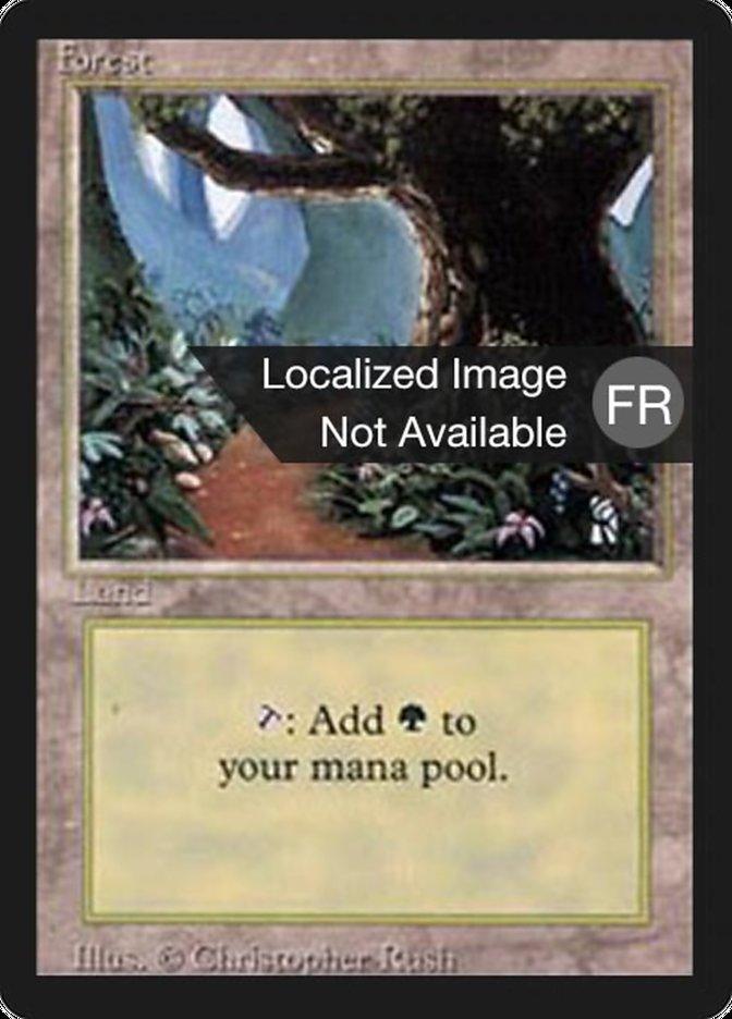 Forest (B) [Foreign Black Border] - Trinity Hobby
