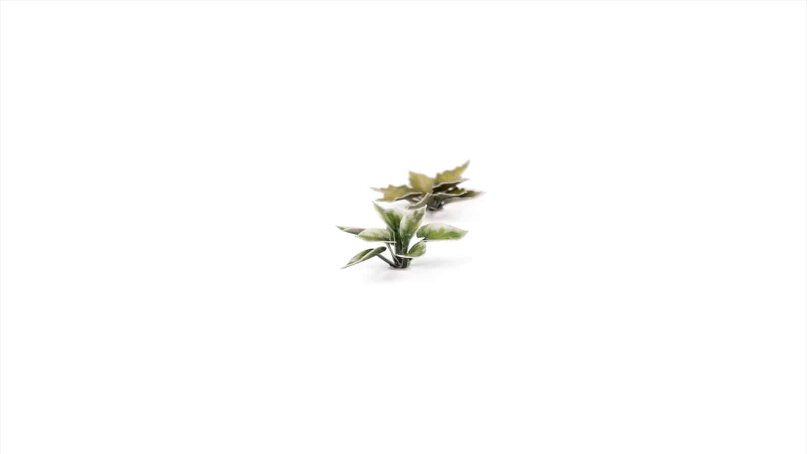 GamersGrass - Laser Plants - Plantain Lily - Trinity Hobby